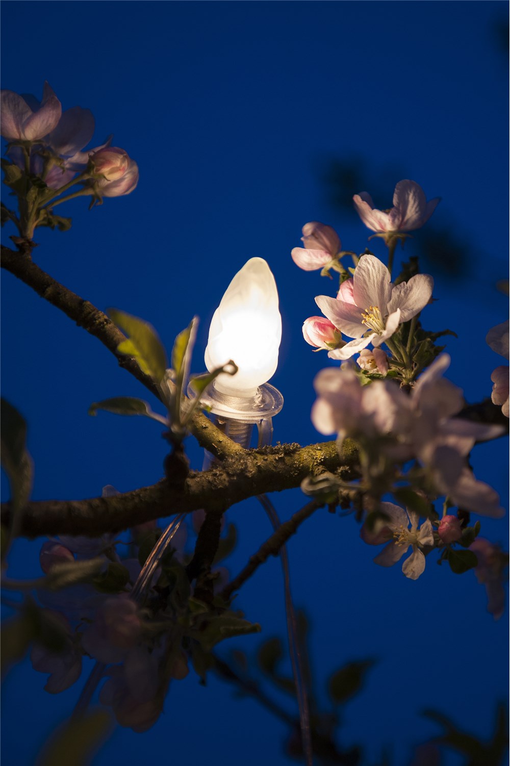 Vonkajšia ledková spájateľná reťaz ŠIŠKA FILAMENT biela 20xLED/20V/0,2W, 14m, číra kabeláž+transformátor