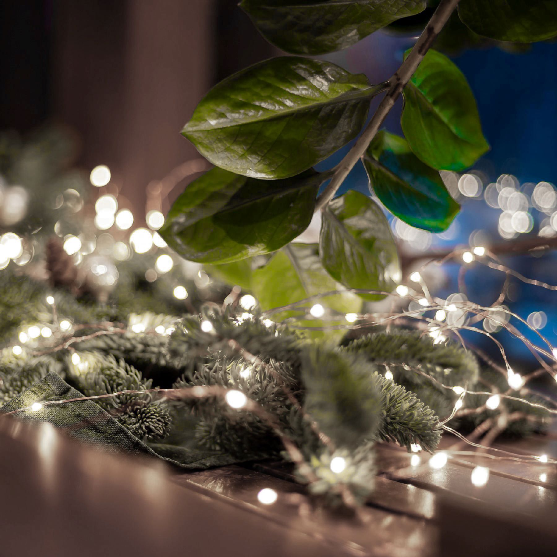 MICRO LED svietiaci reťazec 50 LED studená biela s časovačom, 4,9m, na batérie