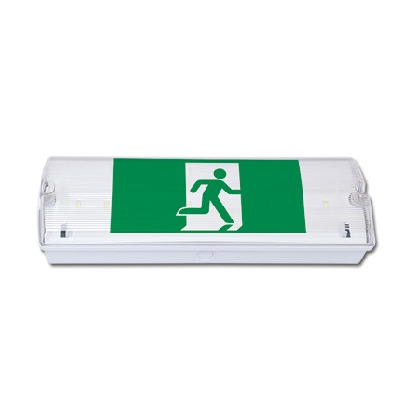 Núdzové LED svietidlo LEDER, 10xSMD LED/3,3W IP65