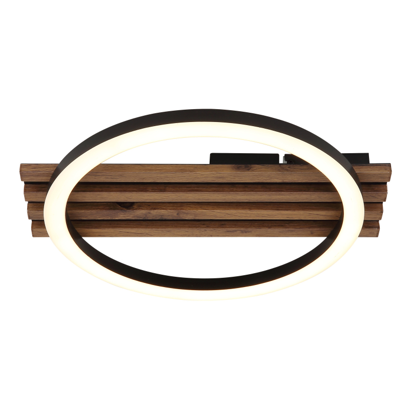 TISHA stropné svietidlo kruh LED 12W LED 3000K 34x30cm